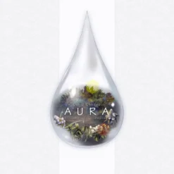 Aura