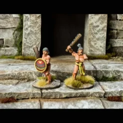 Aztec Warriors