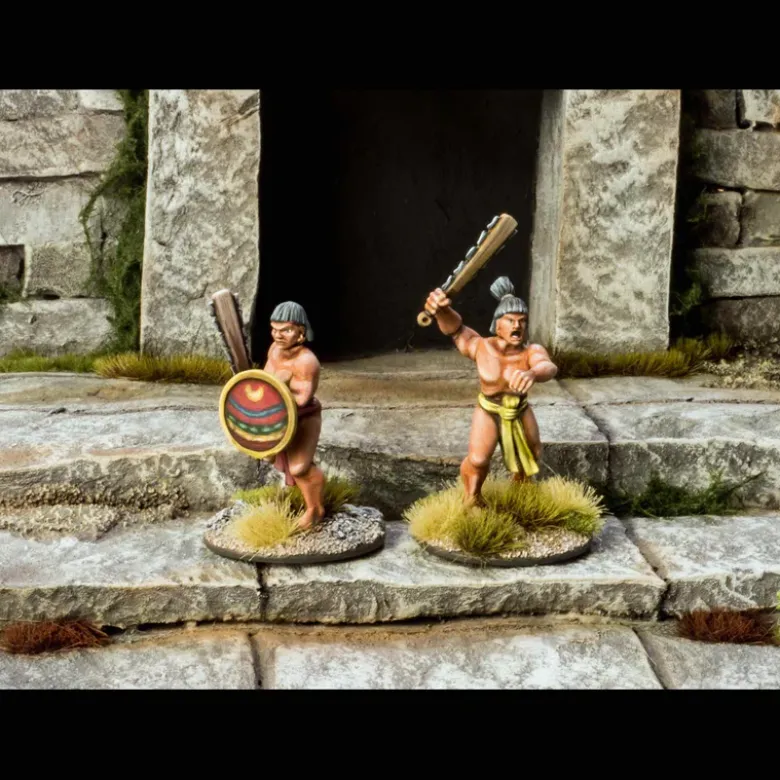 Aztec Warriors