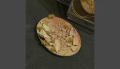 Badlands Bases, Oval 105mm (x1)