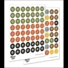 Barons' War Second Edition Starter Set