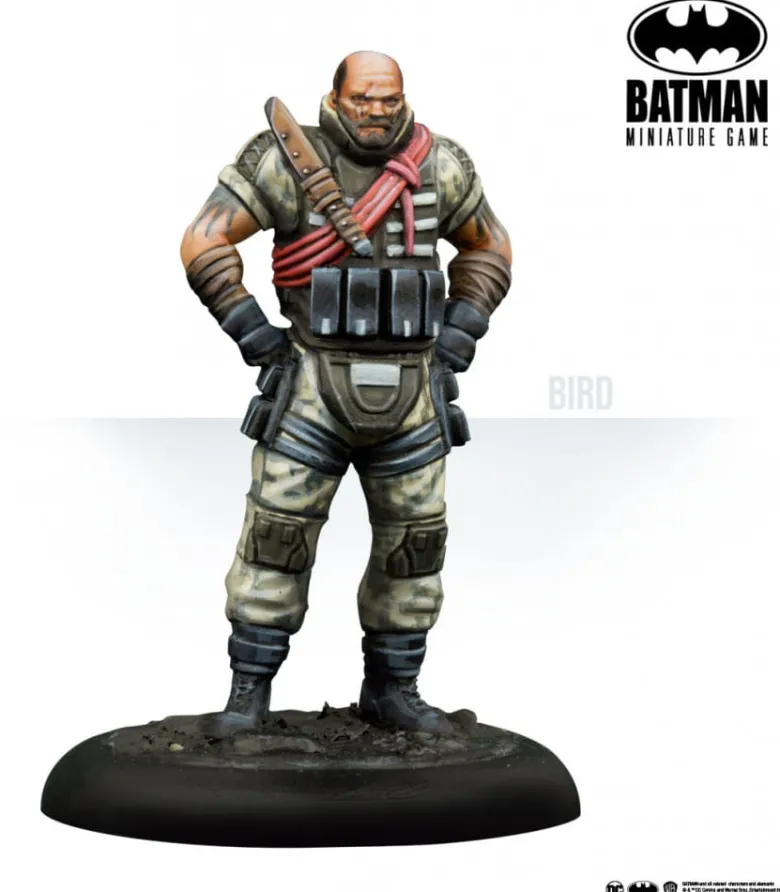Batman: Bird & Mercs