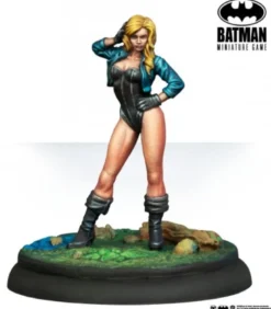 Batman: Black Canary