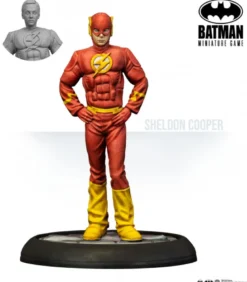Batman: The Big Bang Theory Justice League Cosplay