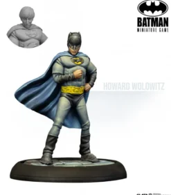 Batman: The Big Bang Theory Justice League Cosplay
