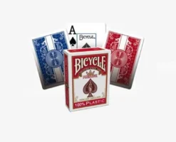 Bicycle: Prestige Rider Back