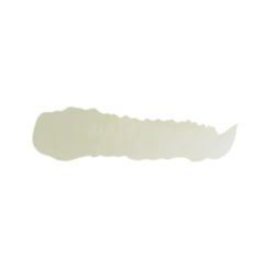 Birch - Farbka ScaleColor 17ml SC-25