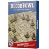 Bretonnian Pitch: Double-sided Pitch and Dugouts
