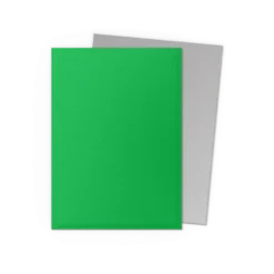 Dragon Shield Matte Dual: Apple Green & Silver
