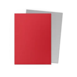 Dragon Shield Matte Dual: Crimson & Silver