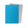 Dragon Shield Matte Dual: Sky Blue & Silver