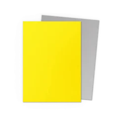 Dragon Shield Matte Dual: Yellow & Silver