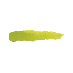 Fall Green - Farbka ScaleColor 17ml SC-48