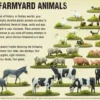Farmyard Animals