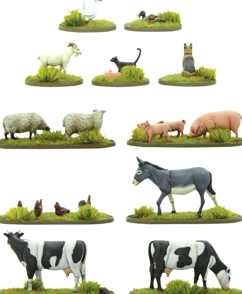 Farmyard Animals