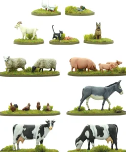 Farmyard Animals