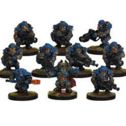 Forge Fathers Stormrage Veteran Section (10 figurek)