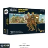 French Army infantry