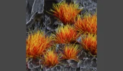 Gamers Grass: Alien Fire Tuft (6mm)