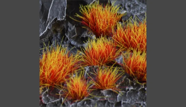 Gamers Grass: Alien Fire Tuft (6mm)