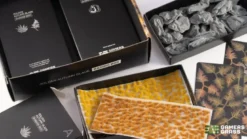 Gamers Grass: Basing Box - Golden Autumn Glade