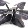 Gamers Grass: Black Magic Taro