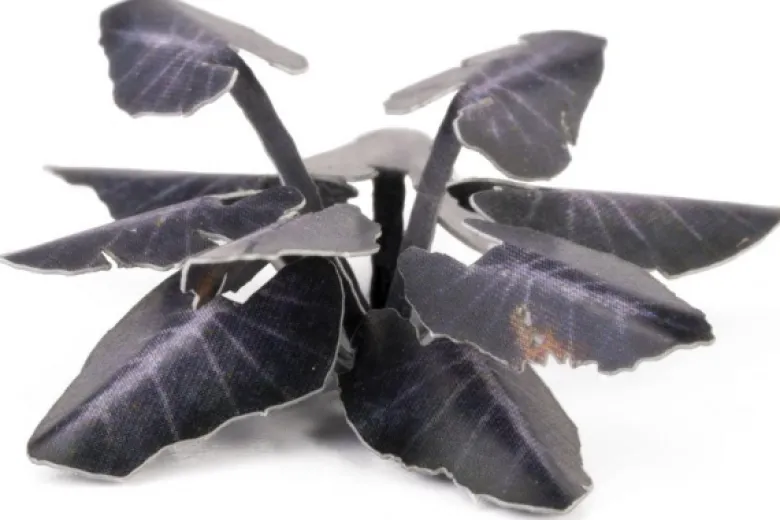 Gamers Grass: Black Magic Taro