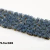 Gamers Grass: Bluebeard Flowers