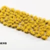 Gamers Grass: Broom Flowers