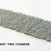 Gamers Grass: Forget-me-not Tiny Flowers