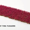 Gamers Grass: Garnet Tulip Tiny Flowers