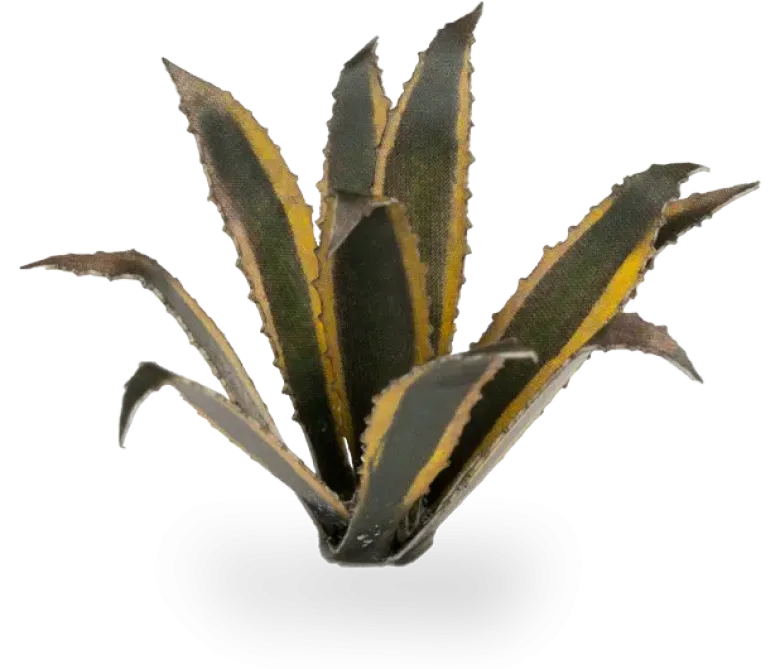 Gamers Grass: Laser Plants - Agave