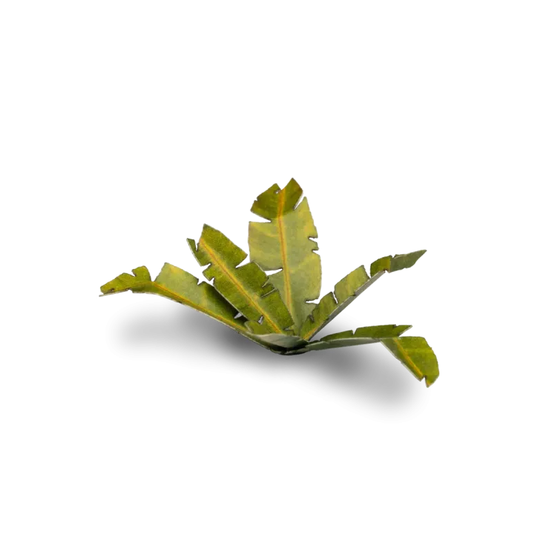 Gamers Grass: Laser Plants - Banana Tree