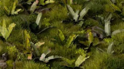 Gamers Grass: Laser Plants - Banana Tree