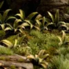 Gamers Grass: Laser Plants - Deer Fern