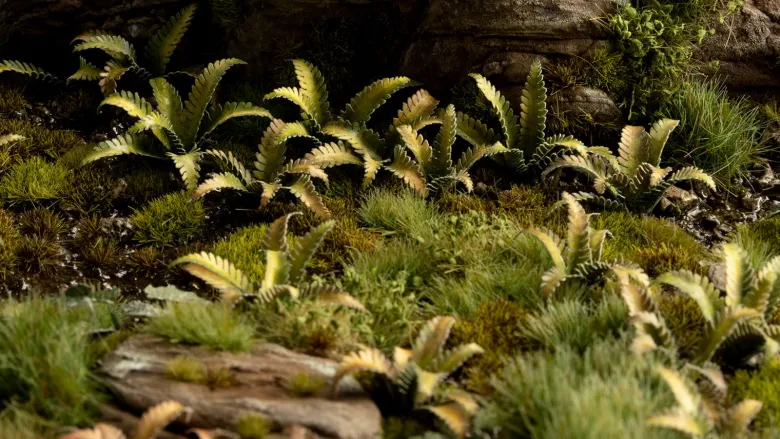 Gamers Grass: Laser Plants - Deer Fern