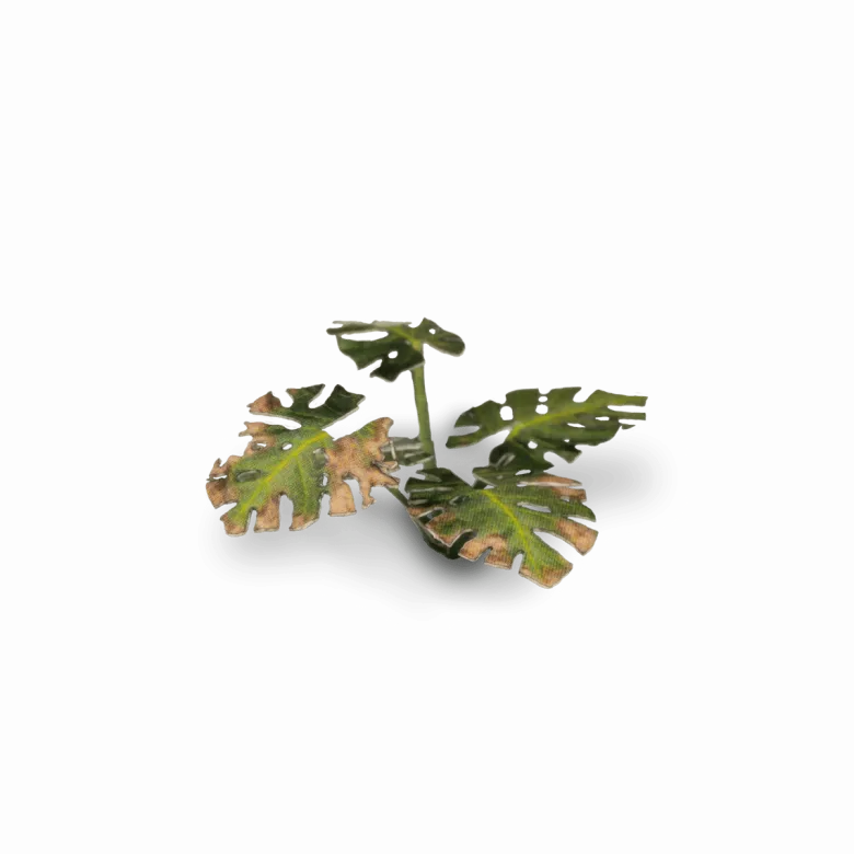 Gamers Grass: Laser Plants - Monstera