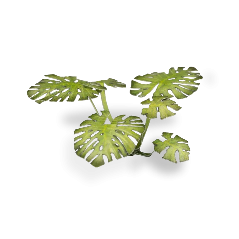 Gamers Grass: Laser Plants - Monstera