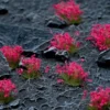 Gamers Grass: Pink Flowers Tuft