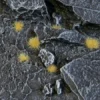 Gamers Grass: Tiny Beige Tuft (2mm)