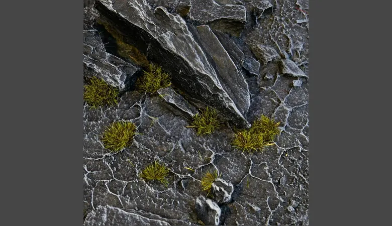 Gamers Grass: Tiny Dark Moss Tuft (2mm)