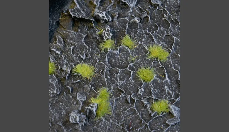Gamers Grass: Tiny Light Green Tuft (2mm)