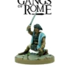 Gangs of Rome: Fighter Quartusdecimus