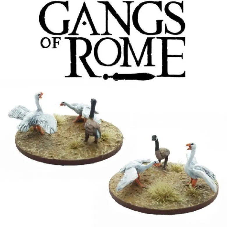 Gangs of Rome: Geese (gęsi)