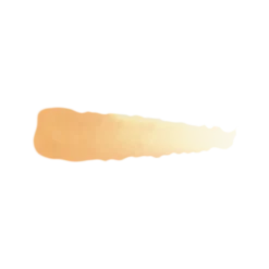 Golden Skin - Farbka ScaleColor 17ml SC-19
