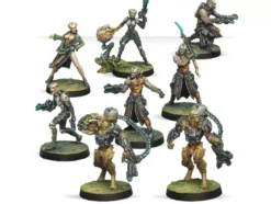 Infinity: Tohaa Combat Force Repack Alpha