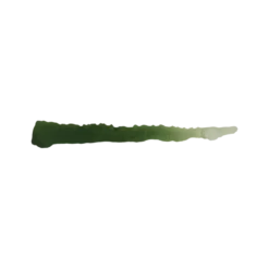 Inktense Olive - Farbka Inktensity 17ml SC-101