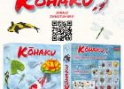 Kohaku