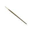 Kolinsky Tajmyr 2
