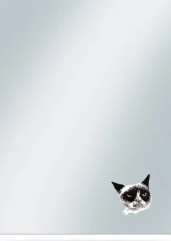 Koszulki Ochronne Zewnętrzne Grumpy Cat - 50szt